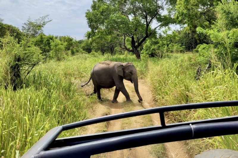 Rondreizen – Rondreis Sri Lanka & Malediven Compleet