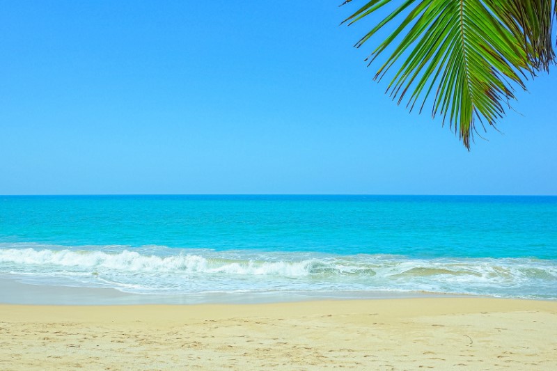 Rondreizen – Rondreis Noord & Zuid Sri Lanka