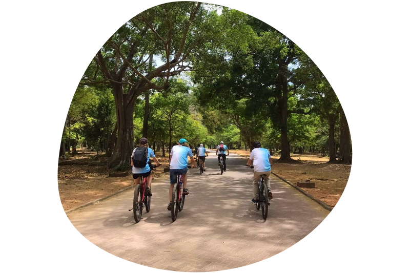 Excursies – Fietsen door de Gouden Driehoek