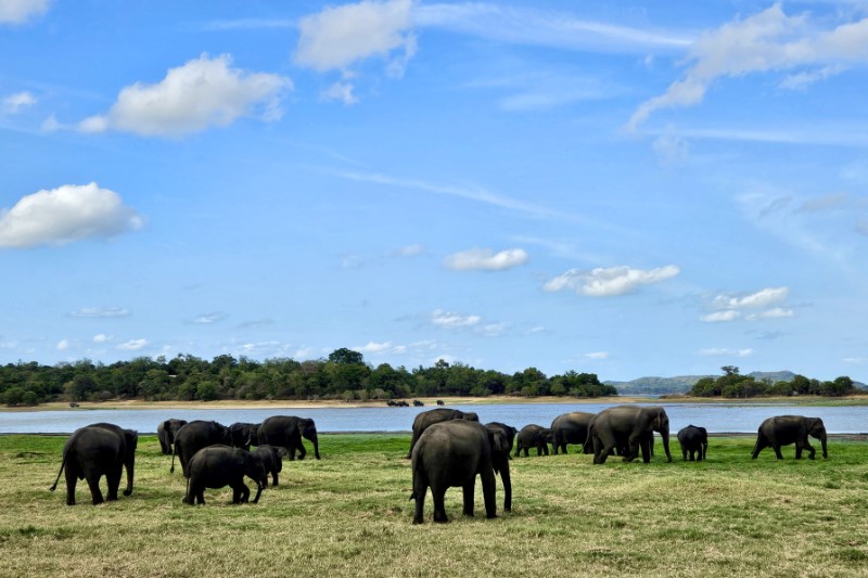 Rondreizen – Eco Lodge Rondreis Sri Lanka