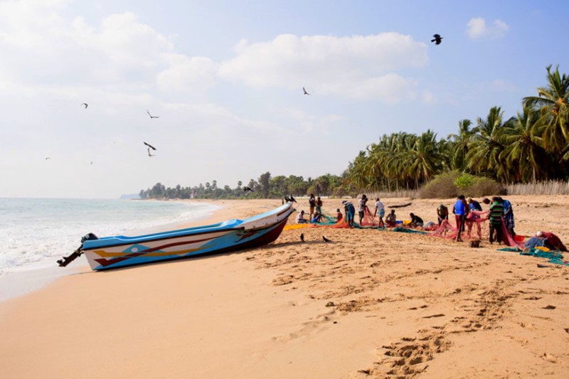 Familiereizen – Familiereis Klassiek Sri Lanka Familiereizen – Familiereis Klassiek Sri Lanka