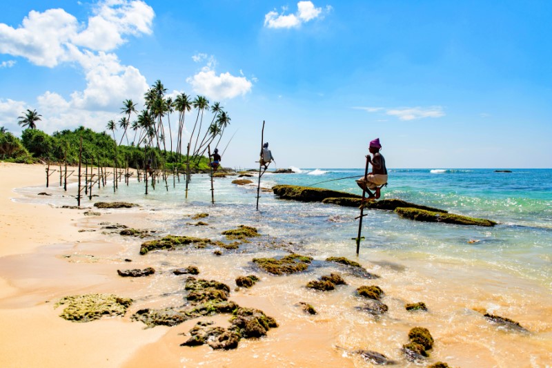 Rondreizen – Natuurreis Sri Lanka