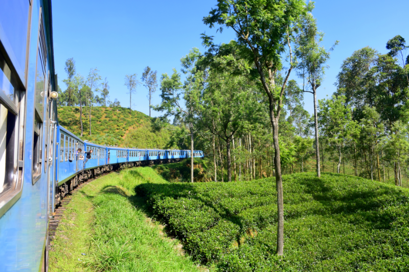 Familiereizen – Familiereis Klassiek Sri Lanka