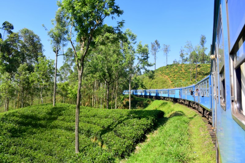 Rondreizen – Rondreis Relaxed door Sri Lanka