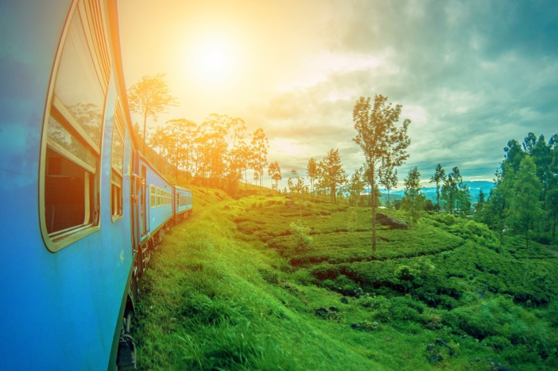 Familiereizen – Familie Rondreis Sri Lanka Zomervakantie Familiereizen – Familie Rondreis Sri Lanka Zomervakantie