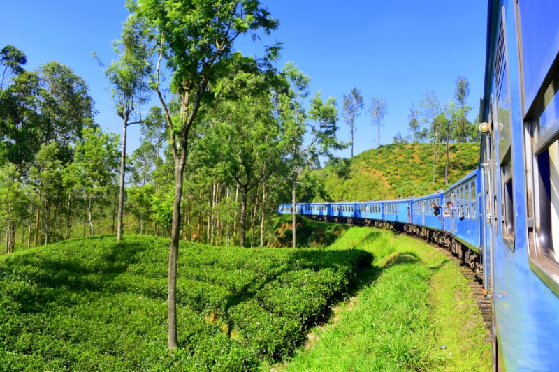 Familiereizen – Familie Rondreis Sri Lanka Zomervakantie