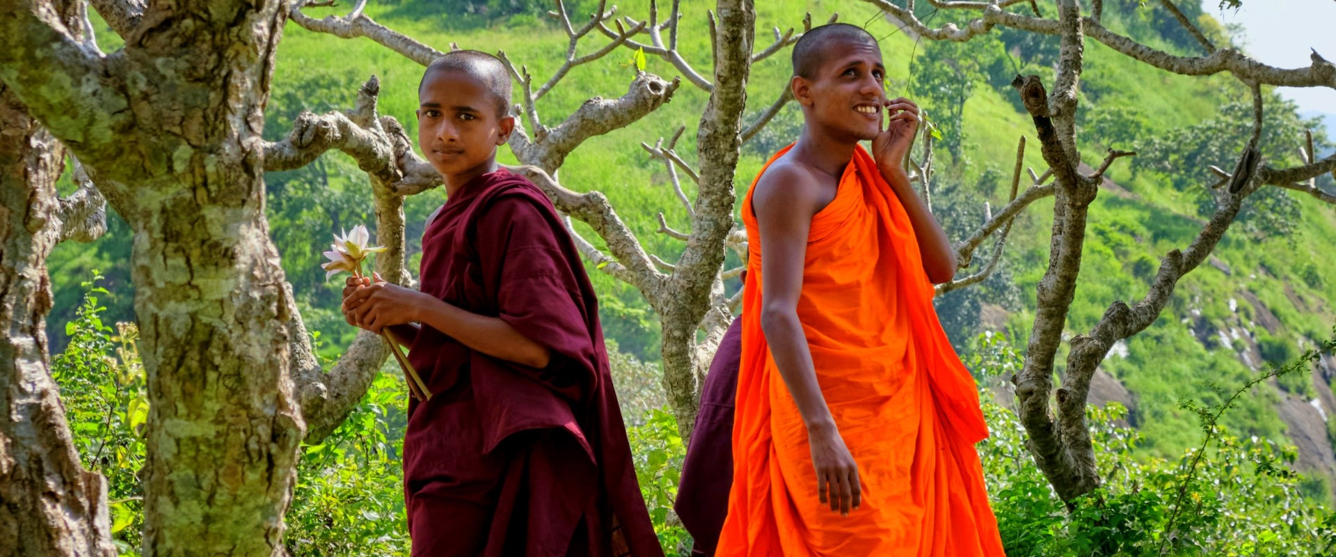 Rondreizen – Rondreis Relaxed door Sri Lanka