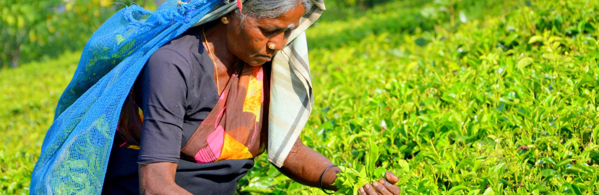 – Sri Lanka