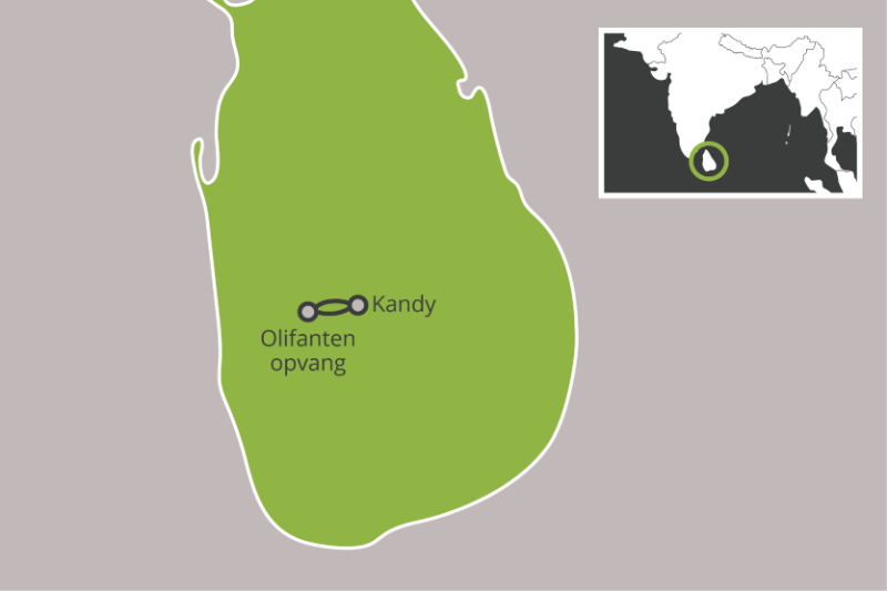 Excursies – Olifanten Opvang