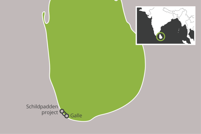 Excursies – Schildpadden Opvang