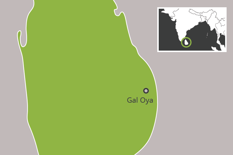 Excursies – In de Jungle van Gal Oya