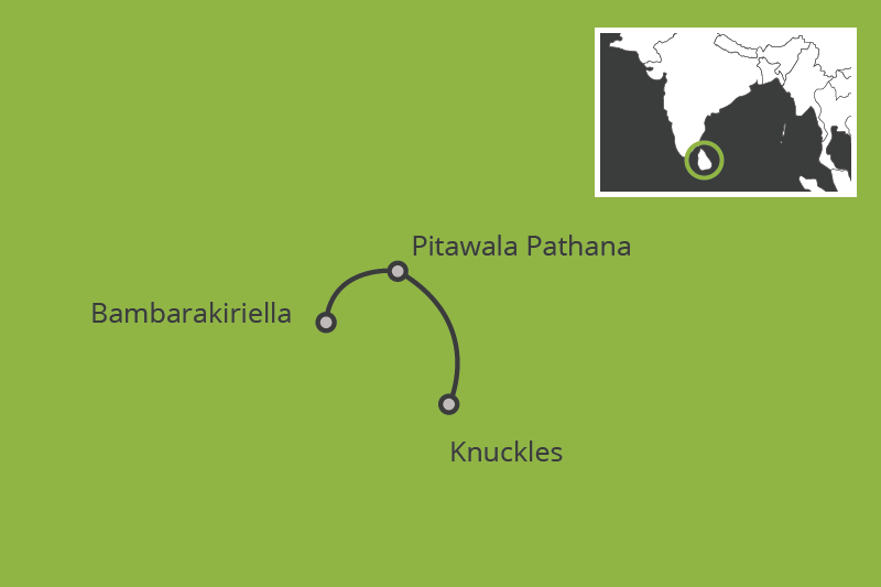 Excursies – Trekking Knuckles Mountain