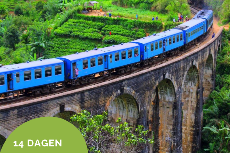 – Treinreizen