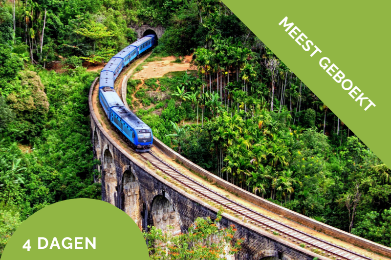 – Excursies