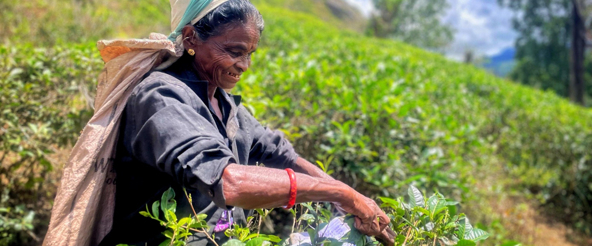 Familiereizen – Familiereis Sri Lanka Compleet