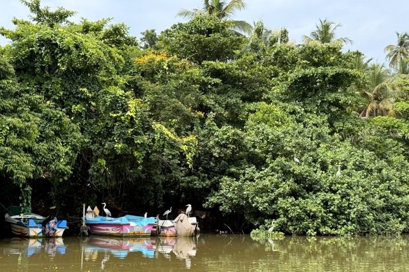 Rondreizen – Boutique Rondreis Sri Lanka