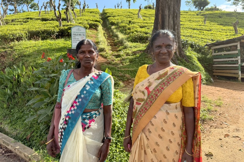 Rondreizen – Natuurreis Sri Lanka