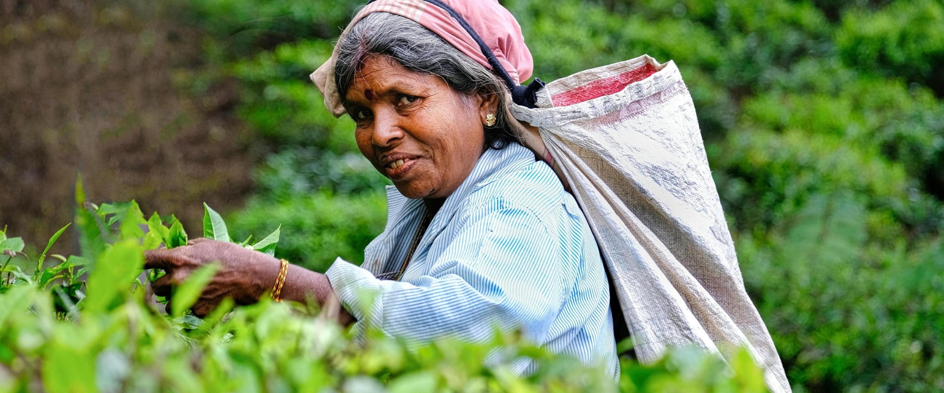 Rondreizen – Rondreis Sri Lanka Compleet