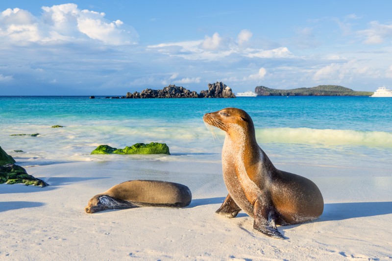 Het Andere Galapagos
