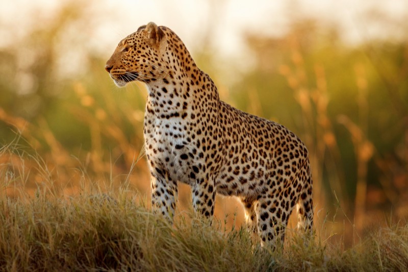 Het Andere Zuid Afrika