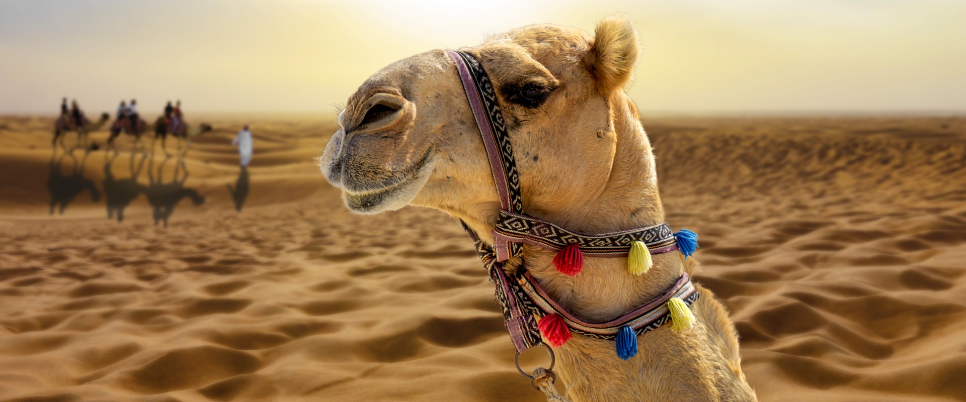 Rondreizen – Rondreis Dubai & Malediven