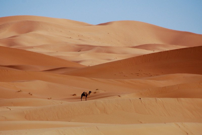 Rondreizen – Rondreis Dubai & Malediven