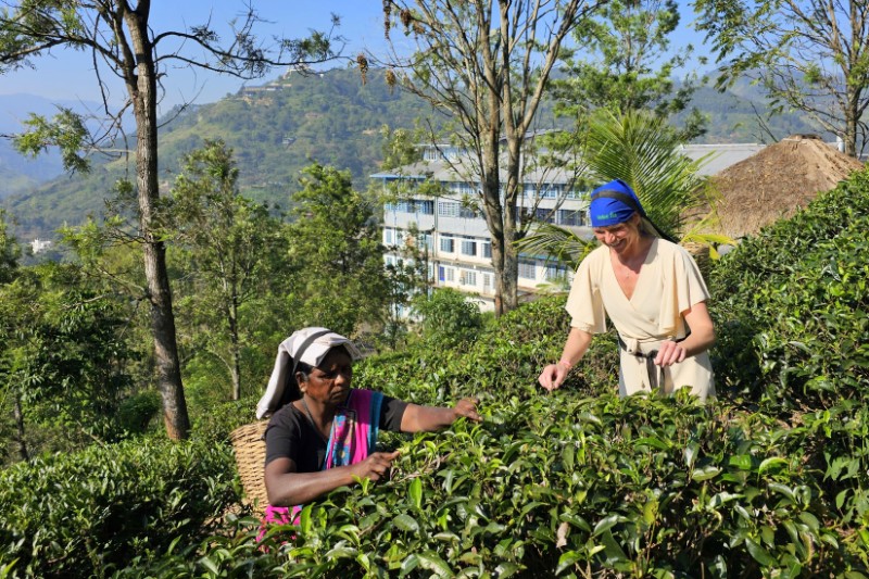 Familiereizen – Familiereis Klassiek Sri Lanka