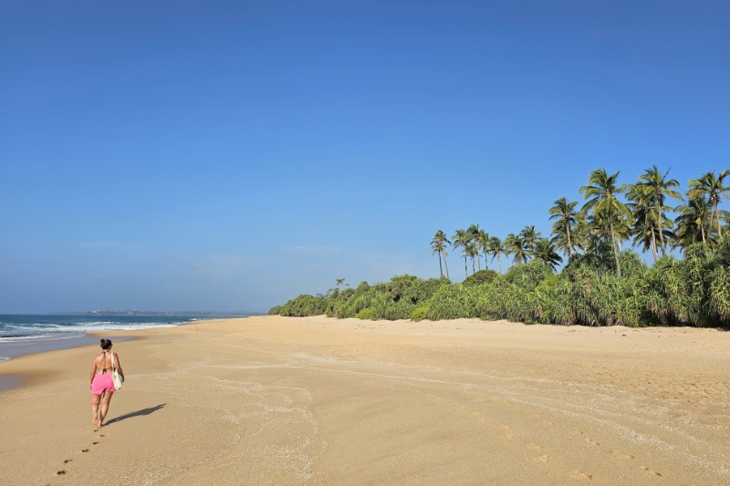 Rondreizen – Rondreis Ontdek Sri Lanka