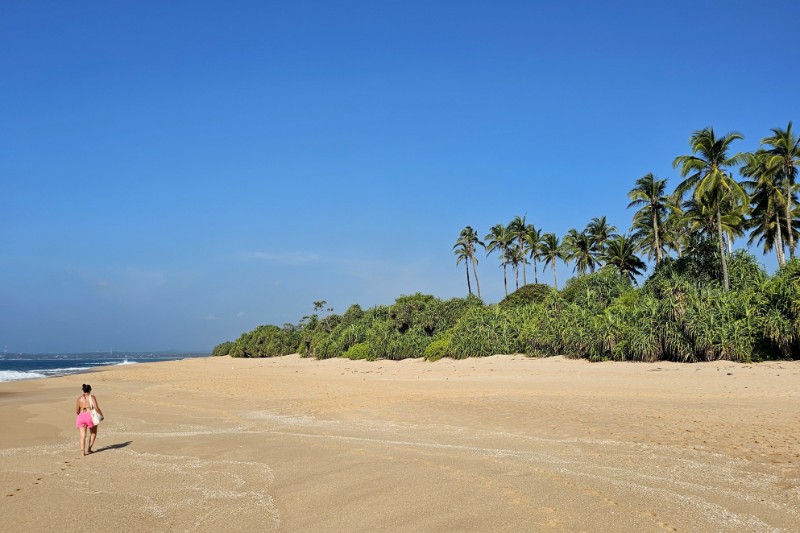 Rondreizen – Rondreis Relaxed door Sri Lanka