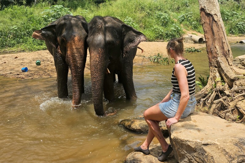 Familiereizen – Familie Rondreis Sri Lanka Zomervakantie
