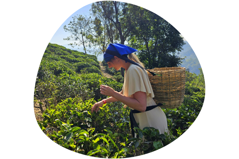 Rondreizen – Rondreis Authentiek Sri Lanka & Malediven