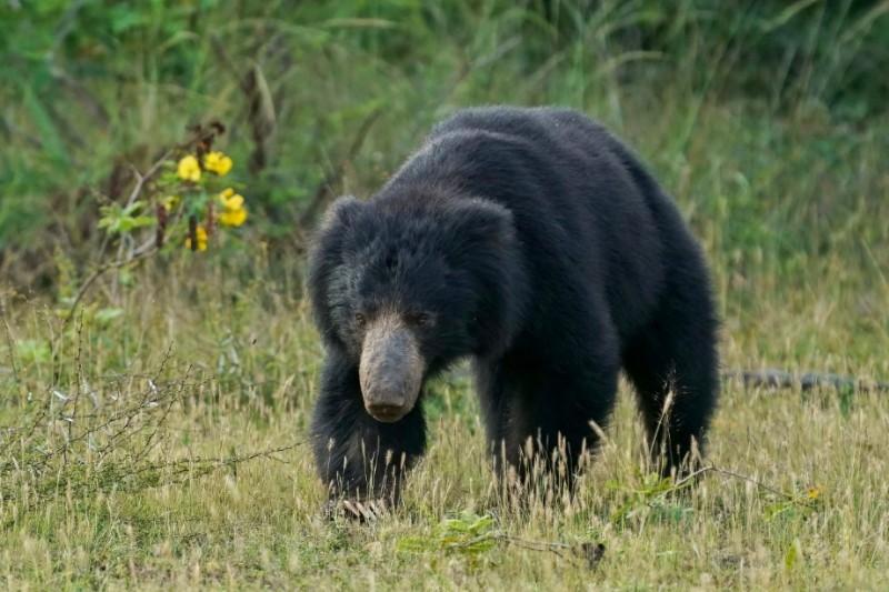 Rondreizen – Natuurreis Sri Lanka