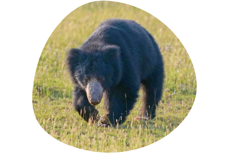 Over Ons – Ervaringen Reizigers